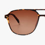 BARNER BRAD TORTOISE