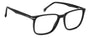 CARRERA 309 807