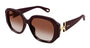 CHLOE CH0236S 3